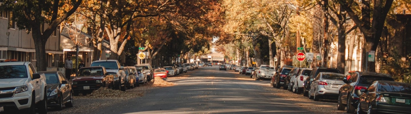 trees, cars and street image 