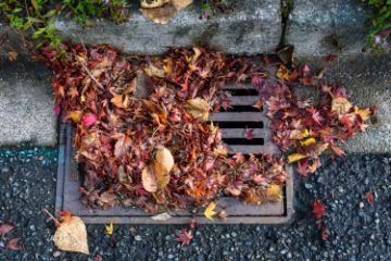 Fall leaves clogging a storm drain on a wet day, with street and curb in view