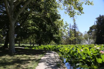 Park with trees, walkway, and flowers