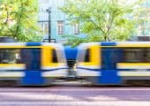 Two blurred Regional Transit buses back to back with two trees and a building in the background