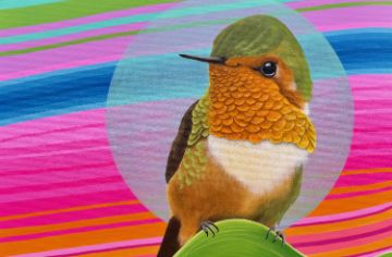 A painting of a hummingbird, highlighted with a blue circle, sits on a green hill against a multicolored background of horizontal stripes.