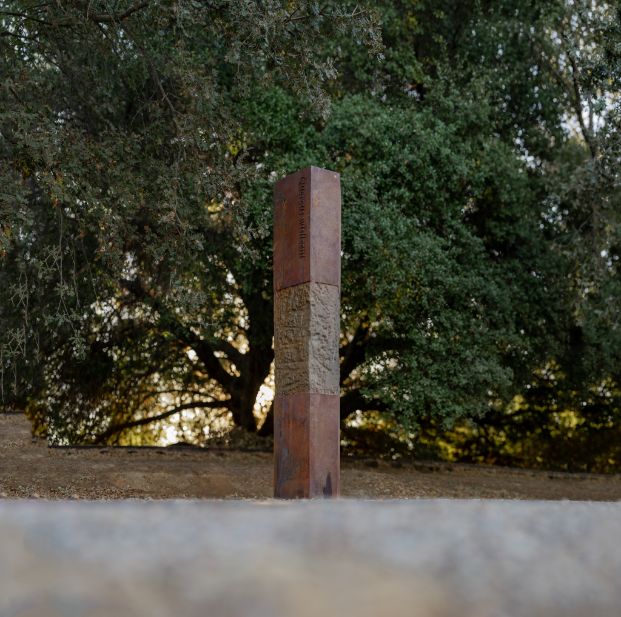 Grand Granary Quercus Wislizeni