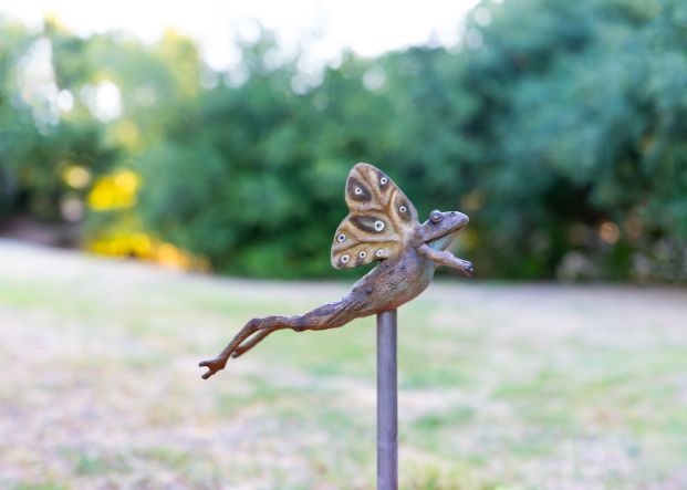 Flying Frog