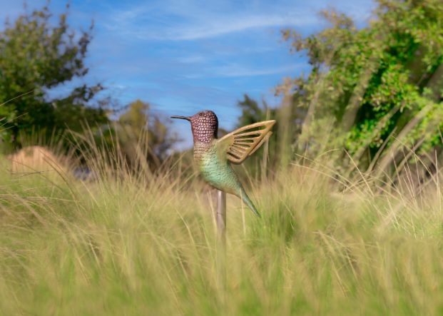 Hummingbird Giganticus