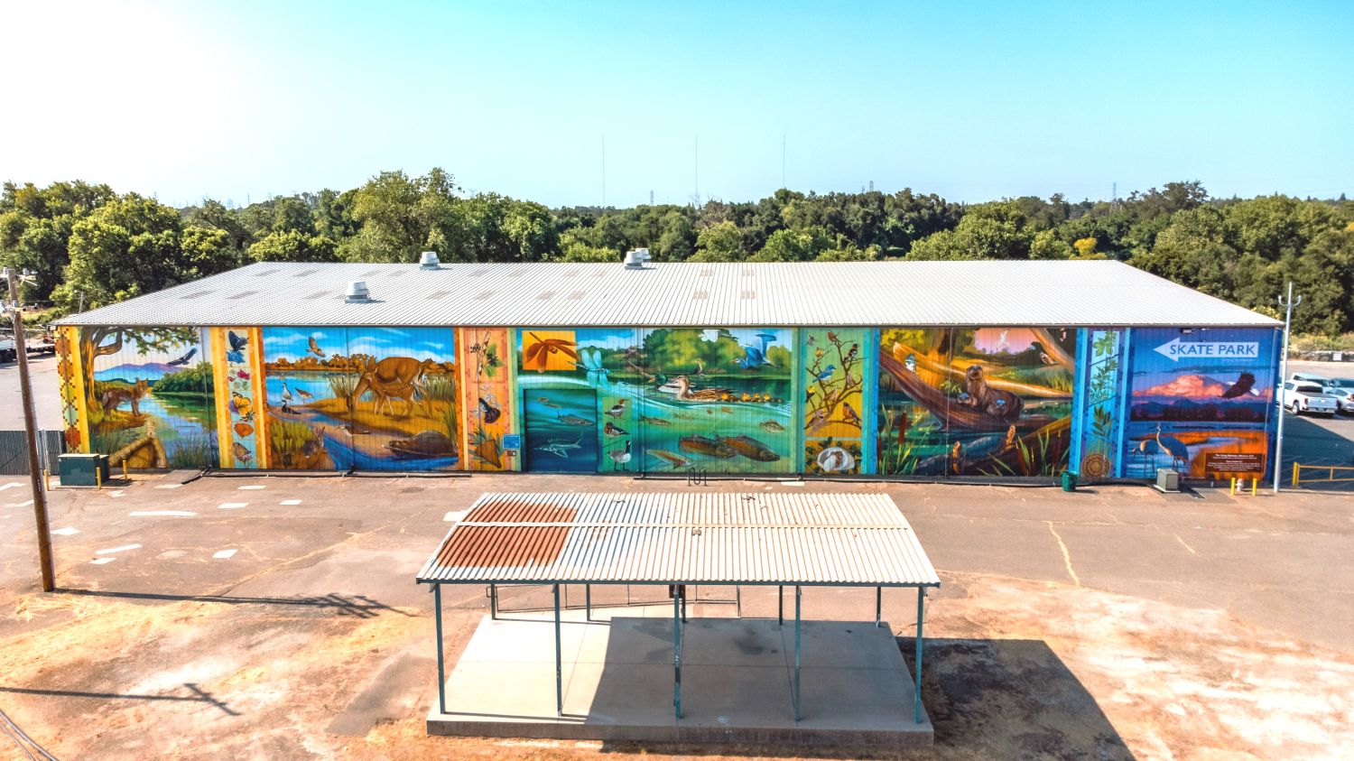 Seen from above, a beautiful, multi-colored mural brightens the side of a large building in a stark setting. Behind the building, a thick line of trees hints at a more natural environment nearby which contrasts with the industrial feel of the building and the small shade structure adjacent.