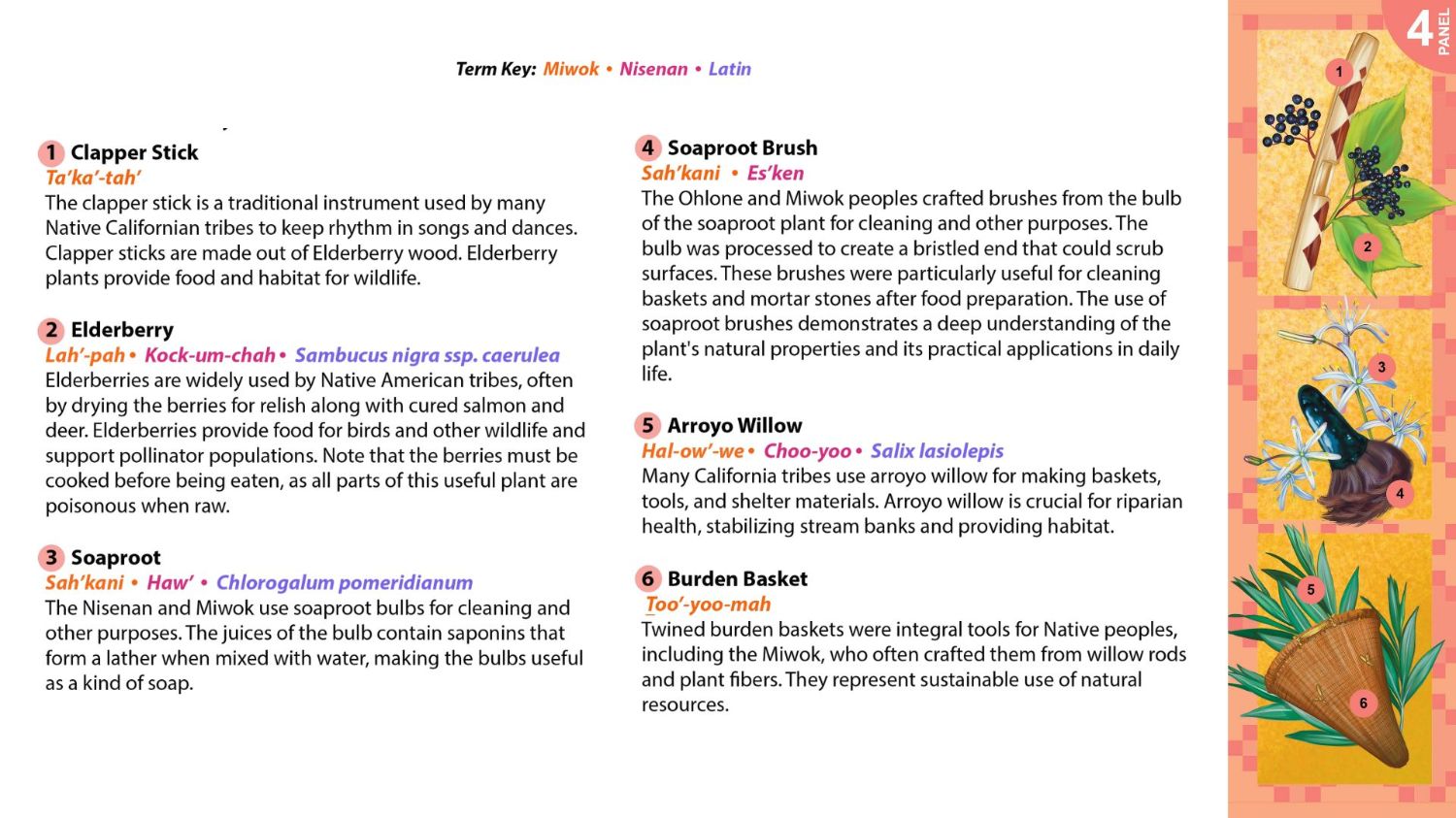 Text describing plants and products from the region.