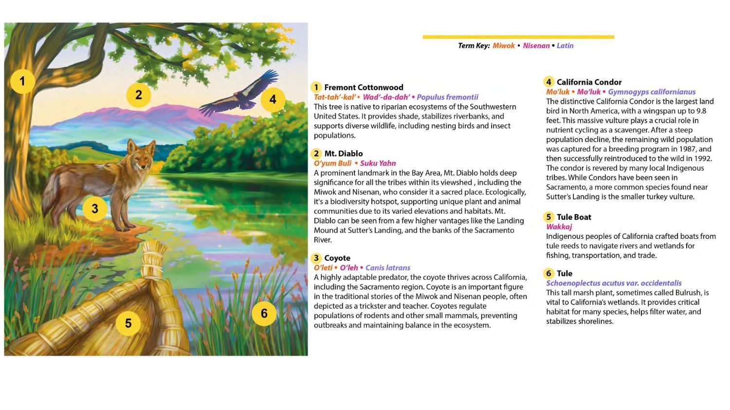 This image includes information referenced by number to elements in the image above.