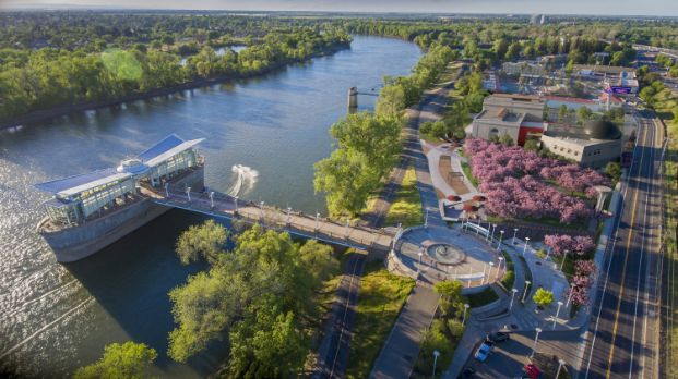 rendering of hanami line park with cherry trees blossoming