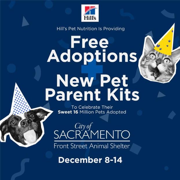 free pet adoptions from December 8 to December 14 courtesy of Hill's Pet Nutrition 