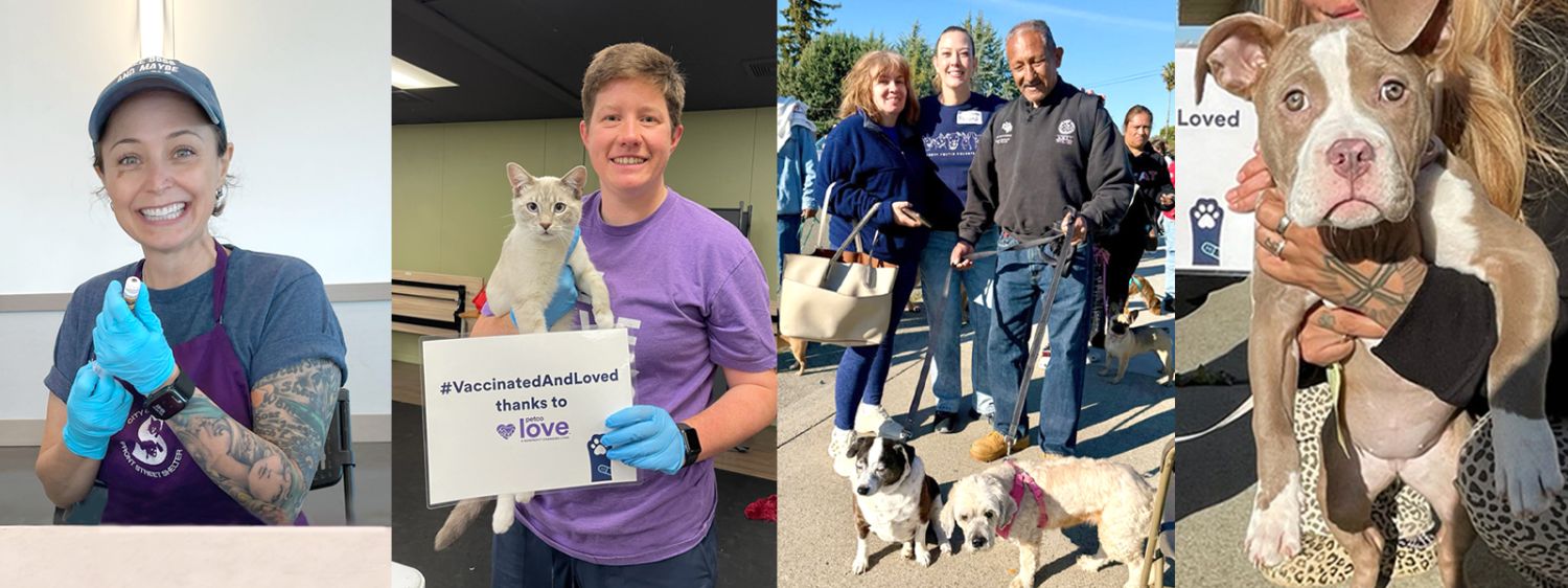 A clinic worker wearing a purple apron, another clinic worker holding a cat and a sign, and dog owners bringing their dogs to the clinic