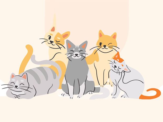 3 animated gray cats and 2 animated orange cats sitting and laying down with one cat scratching its ear