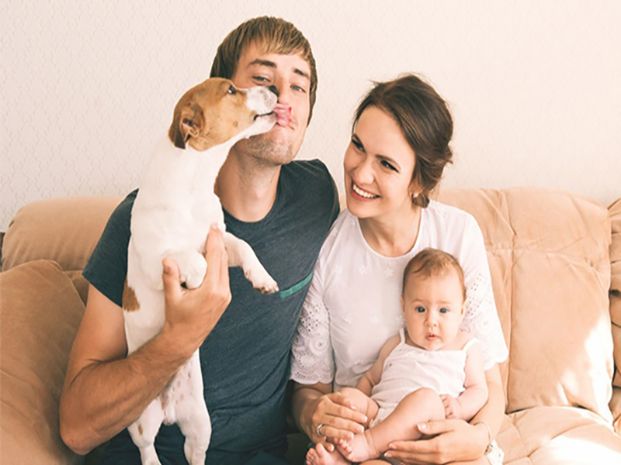 parents holding a baby and a white and brown dog