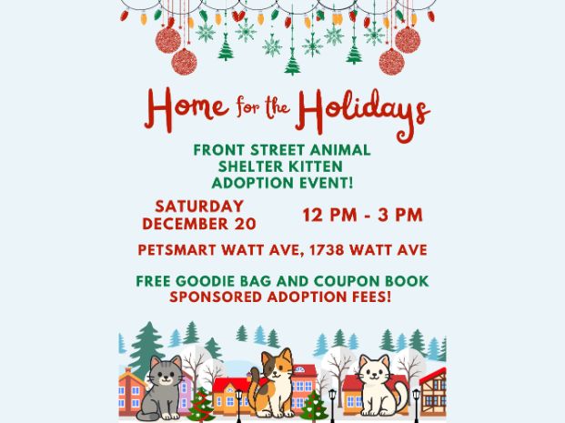 Christmas lights and ornaments decorating the top of the flyer and animated kittens standing in front of homes with a white snowy background