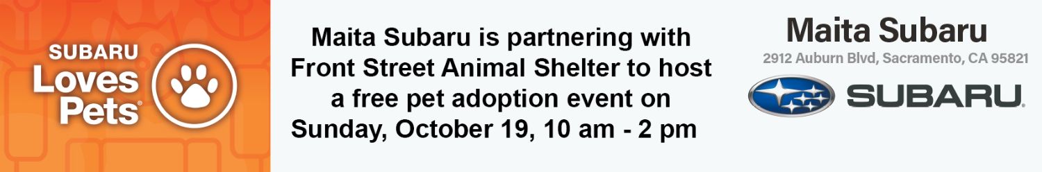 Subaru loves pets special adoption event on Sunday October 19 10:00 am to 2:00 pm