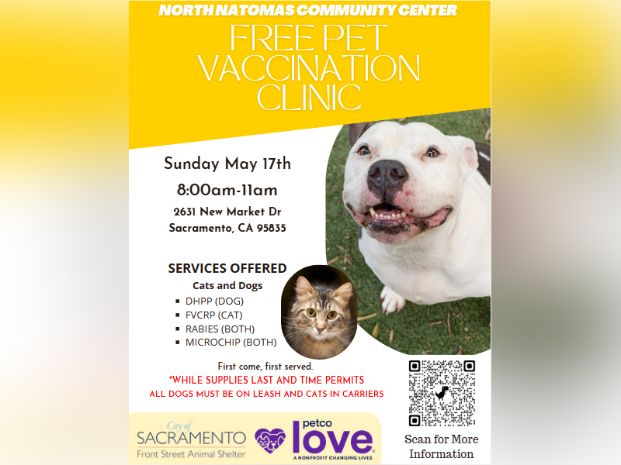 flyer of the free monthly vaccination clinic hosted by the Front Street Animal Shelter