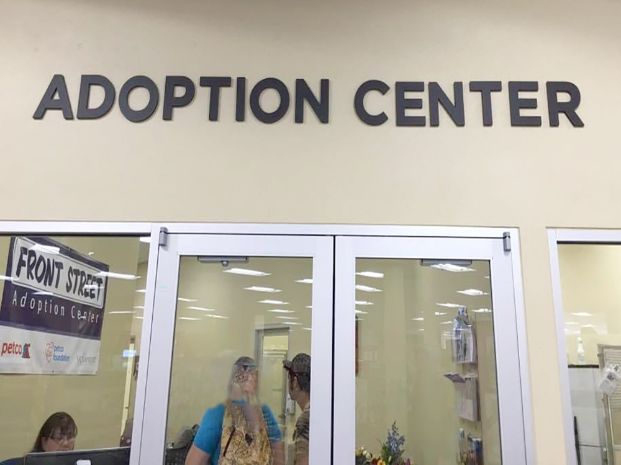 glass doors of the entrance to the adoption center inside the petco store
