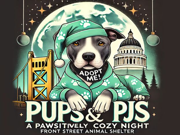 a gray and white dog wearing green pajamas with dog paws on it and laying in front of a background of a dark sky, large moon, stars, the Tower Bridge, and the State Capitol