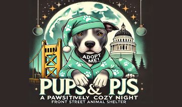 a gray and white dog wearing green pajamas with dog paws on it and laying in front of a background of a dark sky, large moon, stars, the Tower Bridge, and the State Capitol