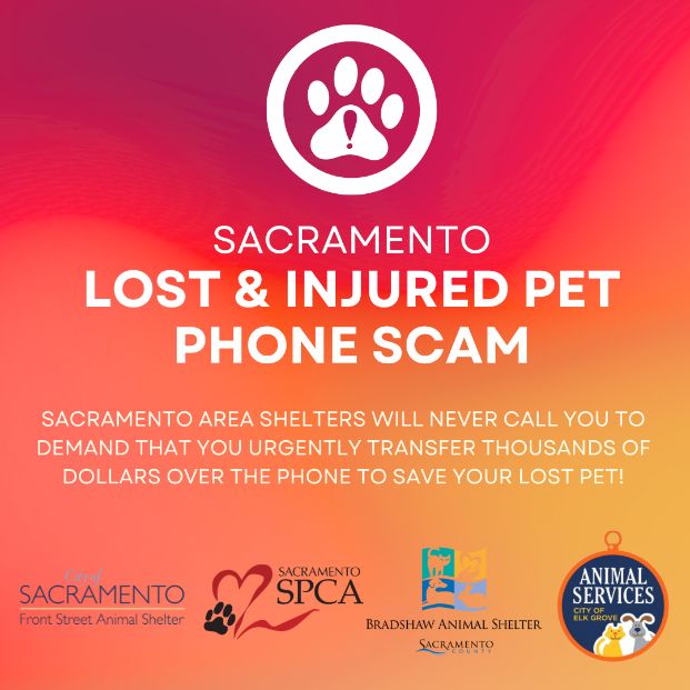 a collaborative announcement from the Sacramento SPCA, Bradshaw Animal Shelter, and Elk Grove Animal Services about a phone scam demanding money from pet owners for lost and injured pets
