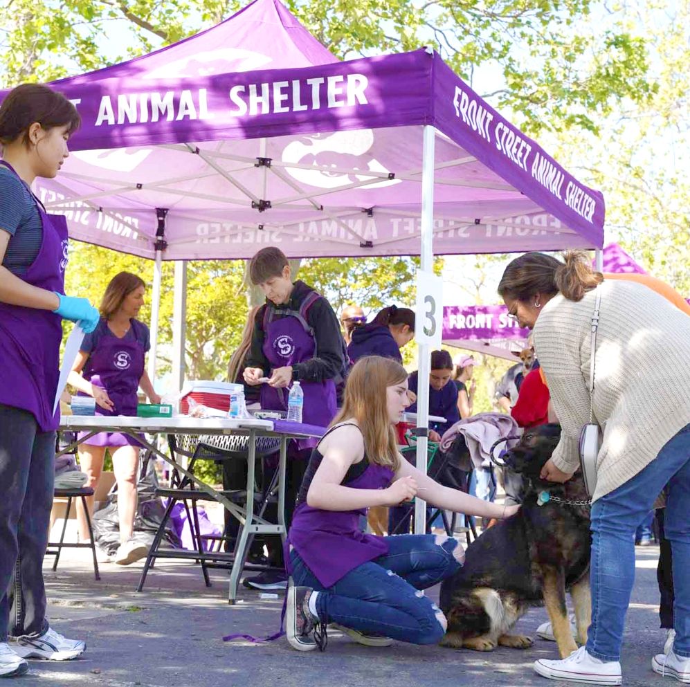 pop up tent with shelter staff administering vaccines to pets
