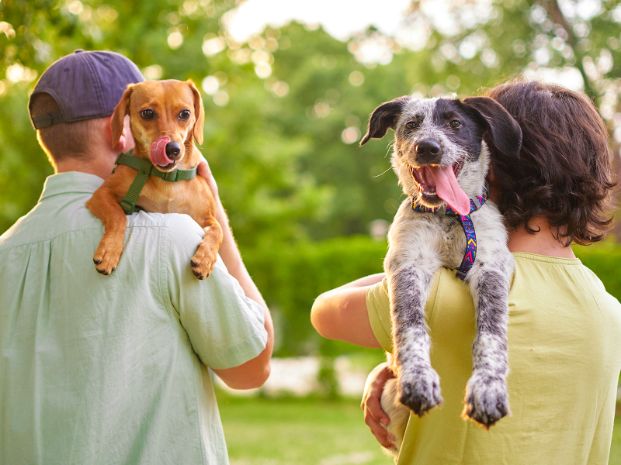 a man on the left with his back turned and carrying a brown dog over his shoulder and a woman on the right with her back turned and carrying a white and gray dog over her shoulder