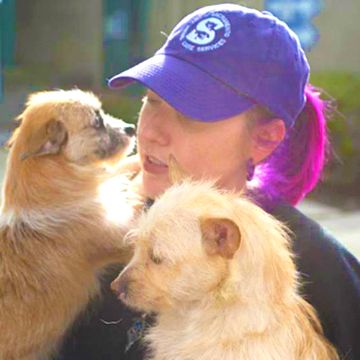 a woman wearing a purple hat and holding 2 small dogs