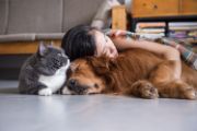 Image of woman hugging a dog and a cat