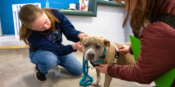 volunteer helping an owner's dog with the leash and collar