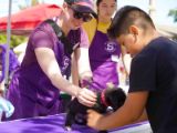 Woman in a purple apron and the owner holding a small dog on top of a table at an outdoor event