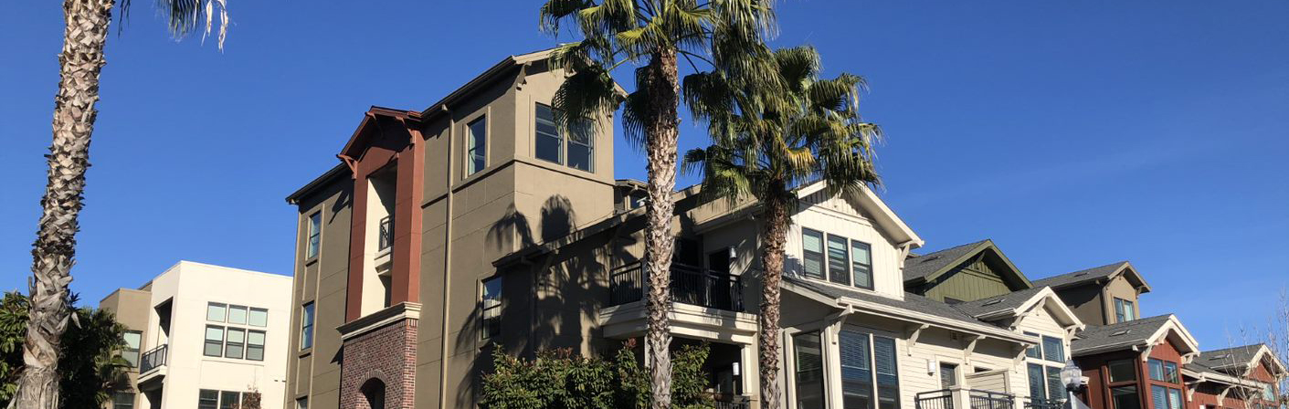 Top portion of a housing development with partial trees showing in the foreground, against a blue sky.