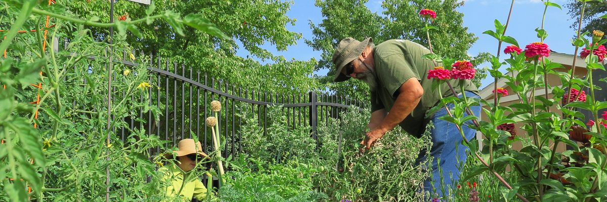 Man gardening