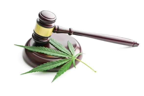 Cannabis Laws, Policies, and Regulations