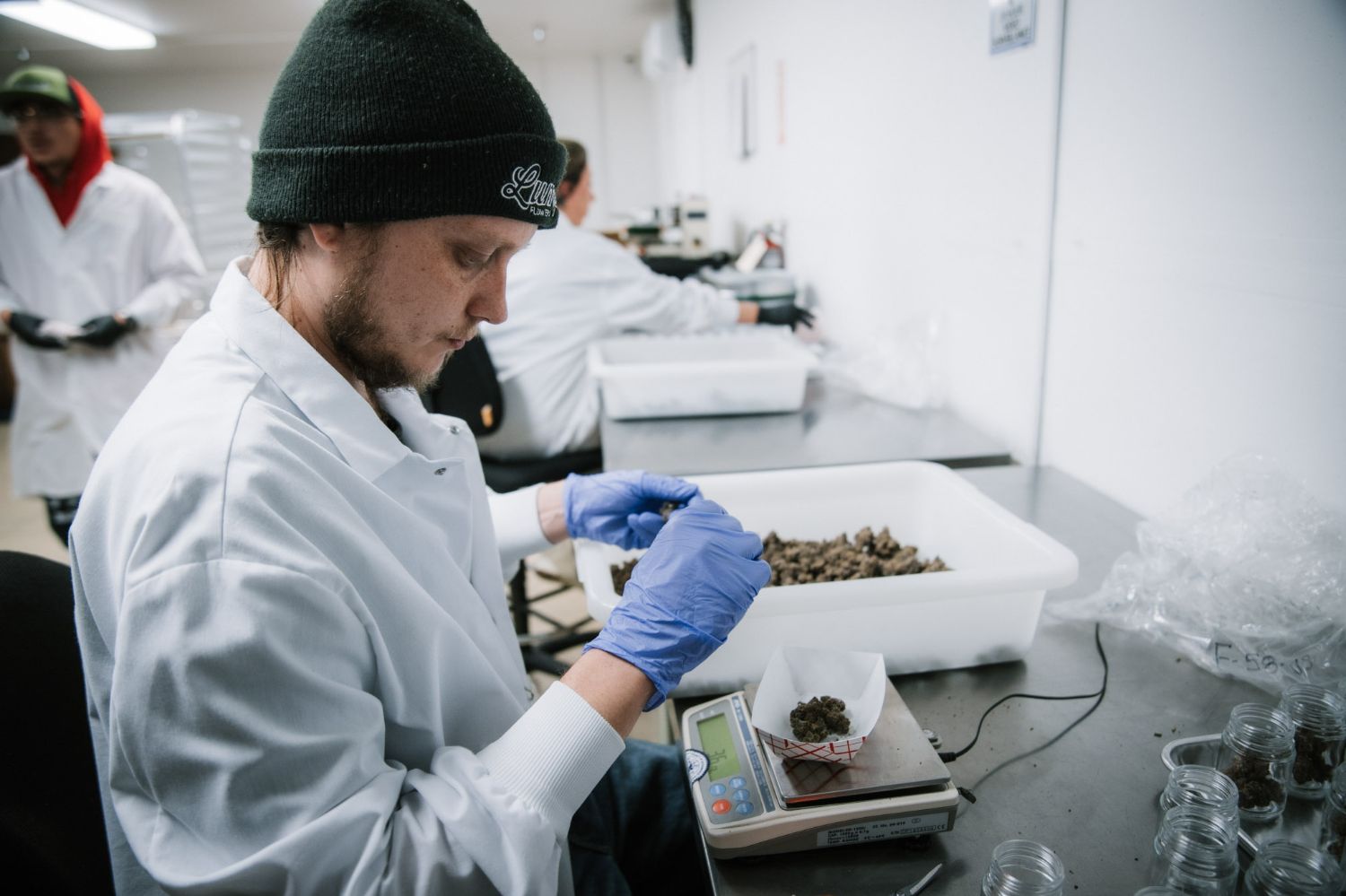 A man is weighing cannabis