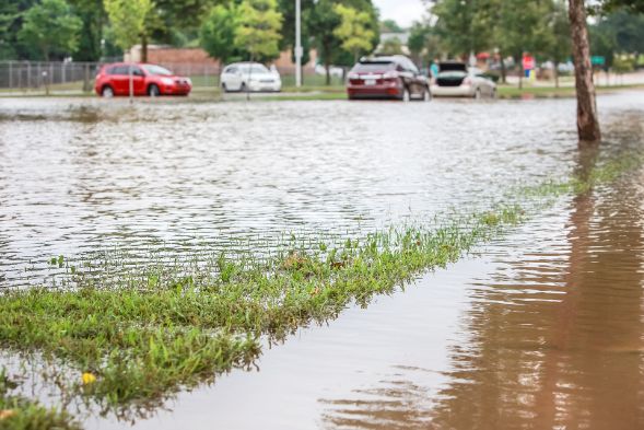Know Your Flood Hazard