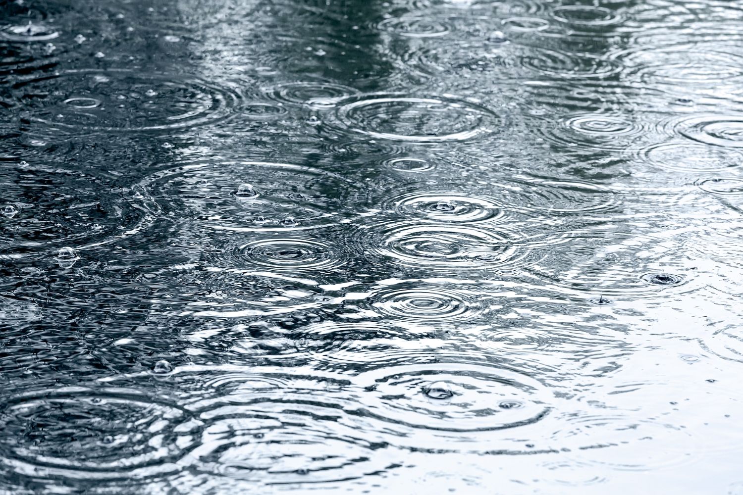 Rain falling on a puddle