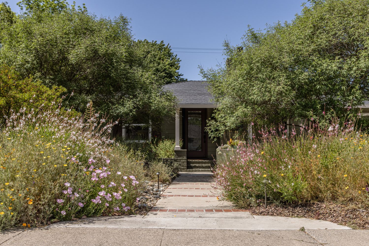 The front garden of a home