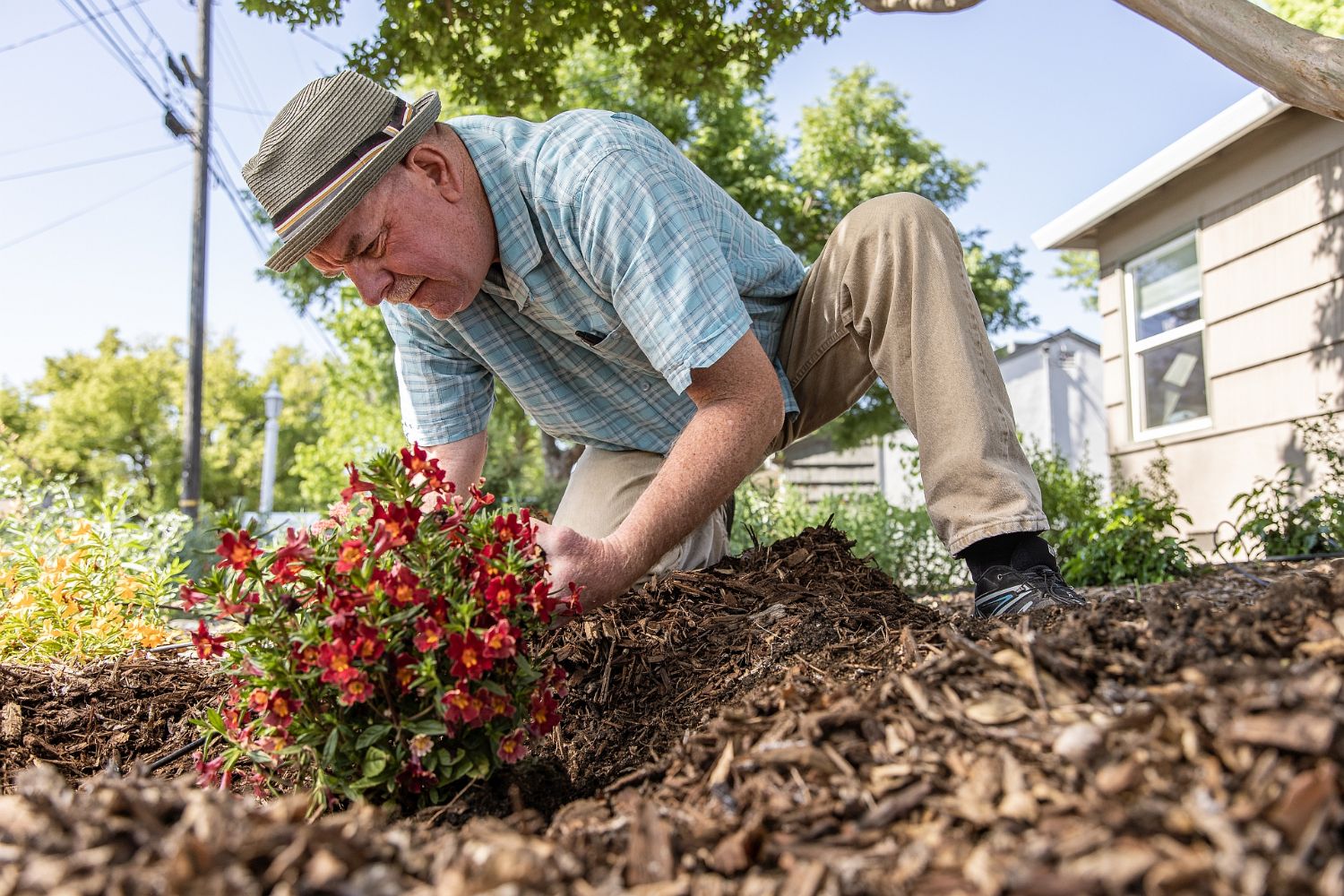 A man planting flowers