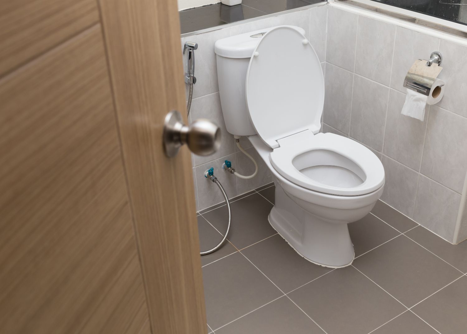 An image of a toilet