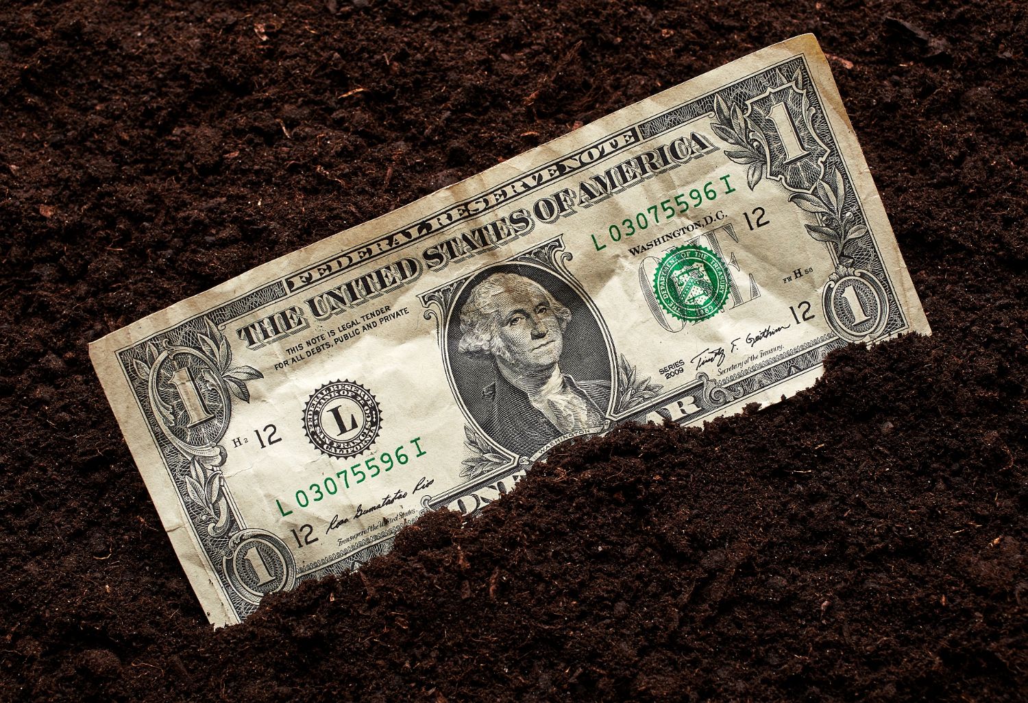 A dollar bill in dirt