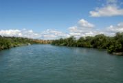 Image of the Sacramento River
