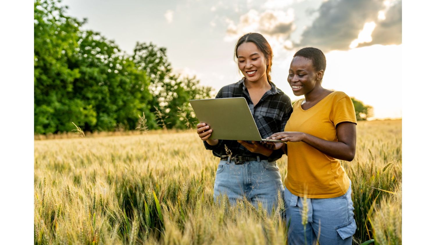 Image of two people in a field looking at a computer. 