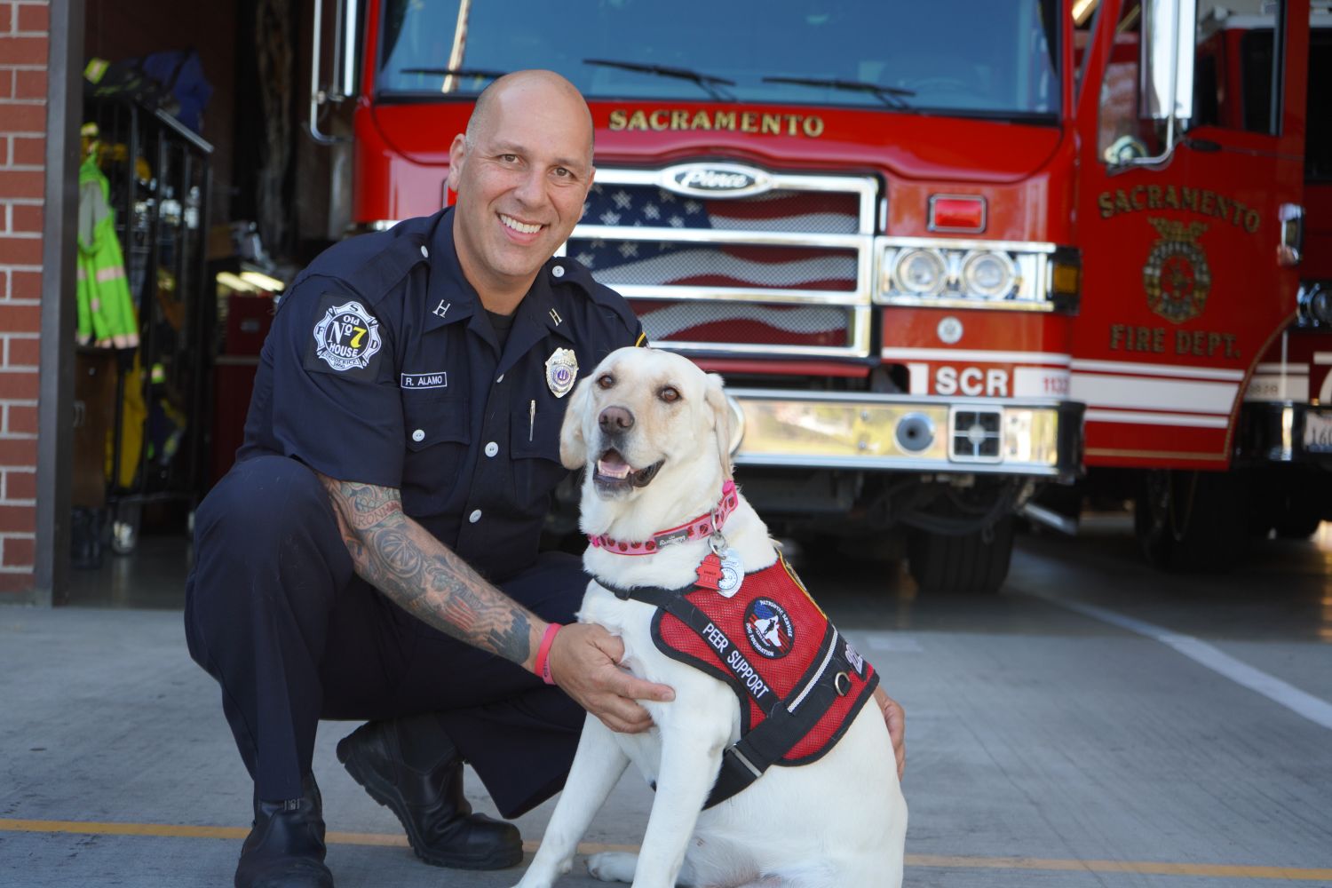 photo of fire captain in full uniform kneeling down next to lab peer support k9 