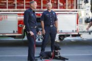 TWO FIREFIGHTERS STANDING WITH A PEER SUPPORT DOG IN FRONT OF A FIRE ENGINE