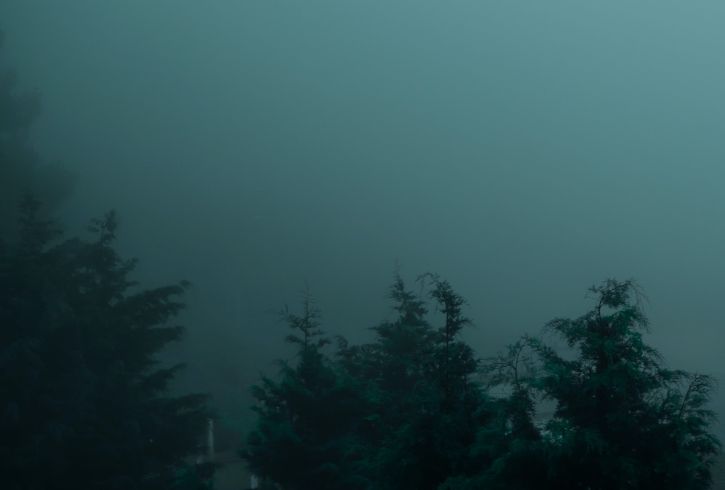 City traffic, building, cars, street lights, trees