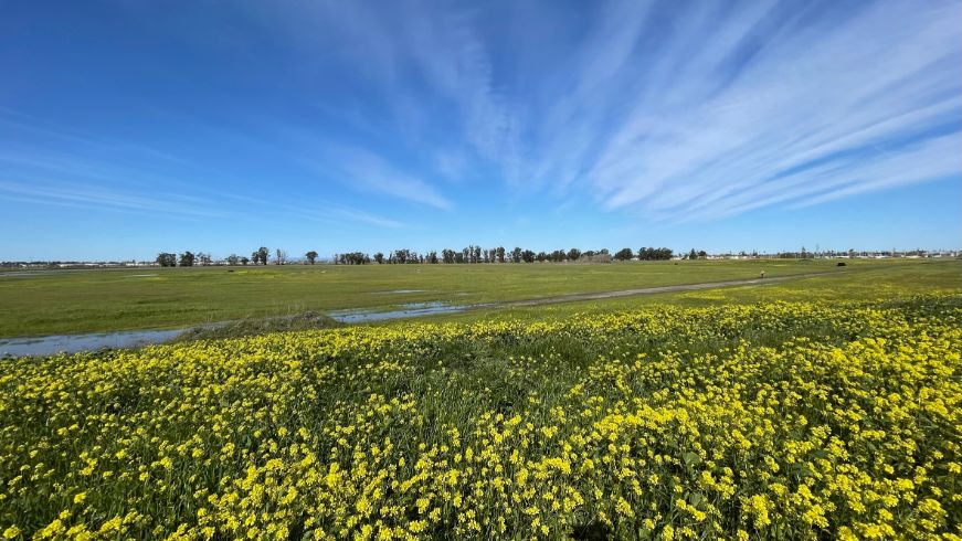 102-acre site, grass, wildflowers, blue sky