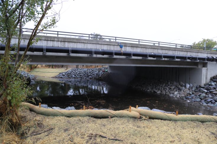 Arcade Creek Bridge, water, tree