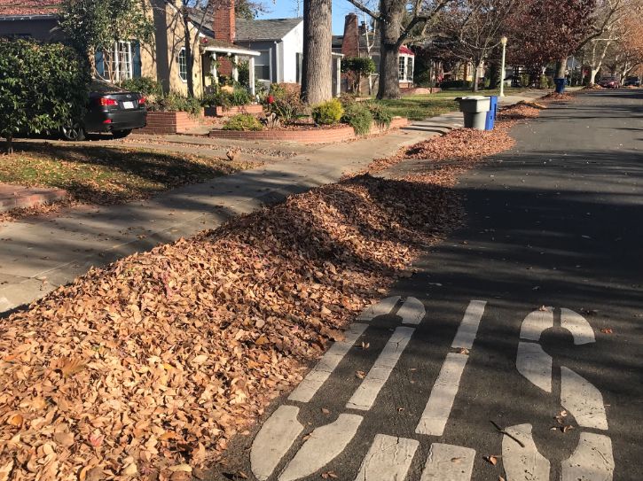 Leaf piles, street, trees, houses