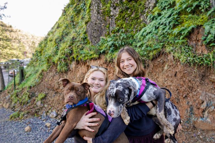 Two women holding dogs, smiling for camera