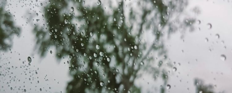 water drops on window