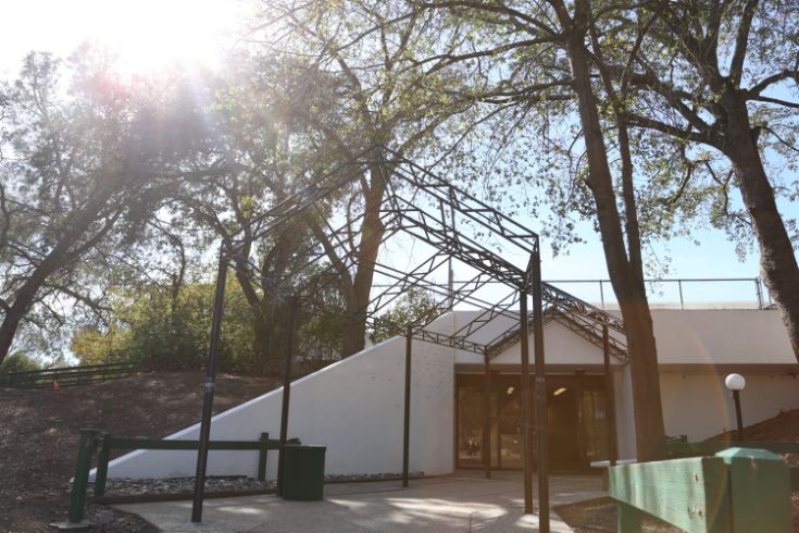 Exterior of the Outreach and Engagement Center. White building, lights, sunburst through trees